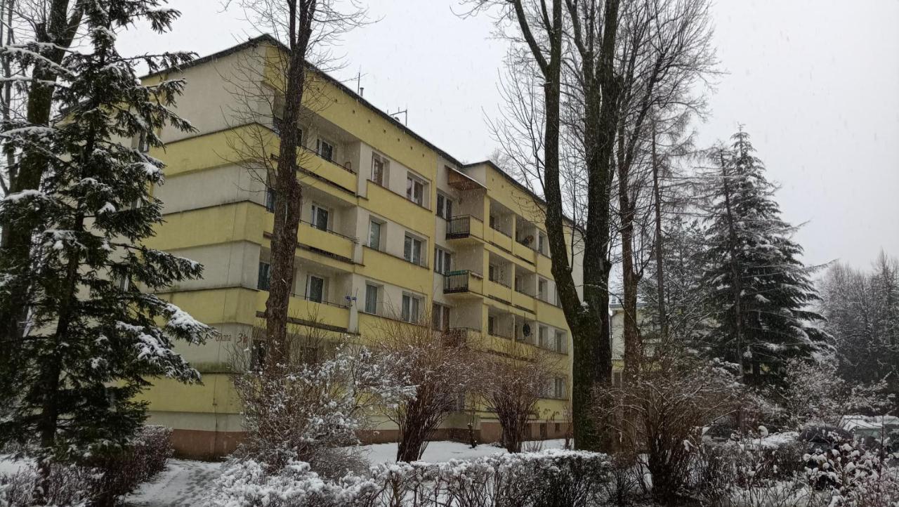 Apartament Alicja, Scisle Centrum, Orkana 3 Закопане Экстерьер фото